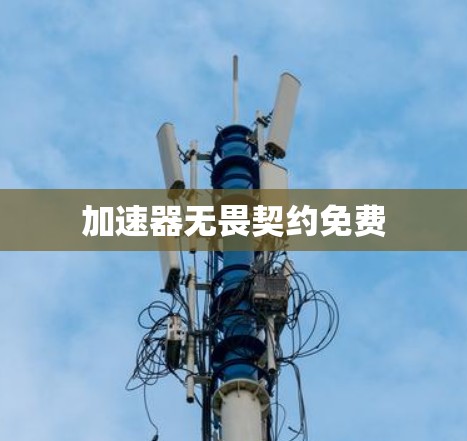 加速器无畏契约免费