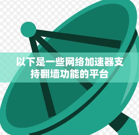 以下是一些网络加速器支持翻墙功能的平台