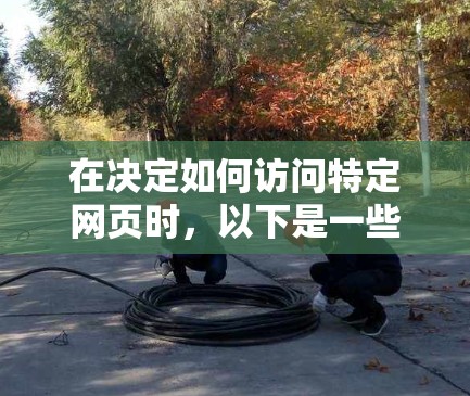 在决定如何访问特定网页时，以下是一些步骤和建议