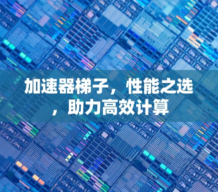 加速器梯子，性能之选，助力高效计算