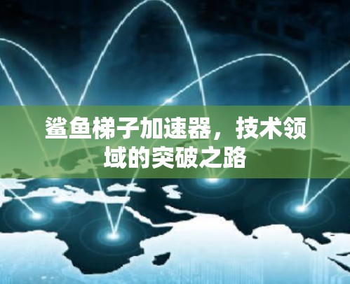 鲨鱼梯子加速器，技术领域的突破之路