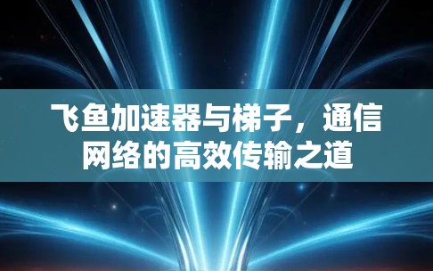飞鱼加速器与梯子，通信网络的高效传输之道