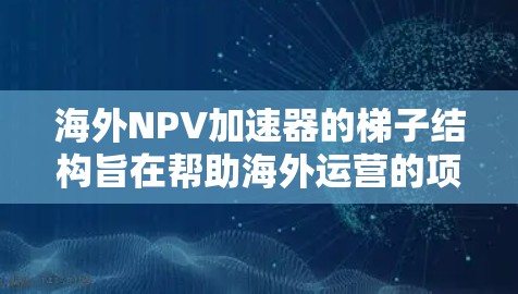 海外NPV加速器的梯子结构旨在帮助海外运营的项目高效计算净现值（NPV）并考虑复杂的因素以提高决策的准确性。以下是对海外NPV加速器的梯子结构的详细说明