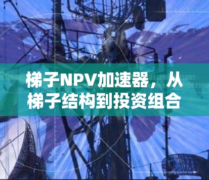 梯子NPV加速器，从梯子结构到投资组合优化