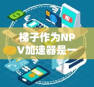 梯子作为NPV加速器是一种通过分散投资或风险控制的方法来提高NPV计算效率的技术。以下是关于梯子作为NPV加速器的详细分析