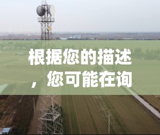 根据您的描述，您可能在询问picag作为一个平台或工具的加速器服务，特别是关于免费加速器的信息。以下是一些可能的解决方案和建议