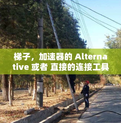 梯子，加速器的 Alternative 或者 直接的连接工具