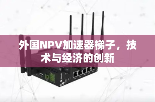 外国NPV加速器梯子，技术与经济的创新