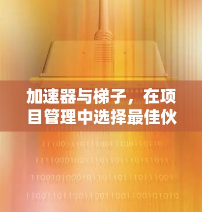 加速器与梯子，在项目管理中选择最佳伙伴