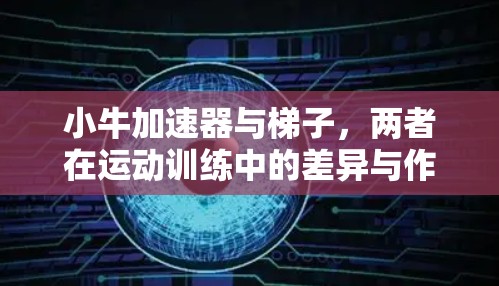 小牛加速器与梯子，两者在运动训练中的差异与作用