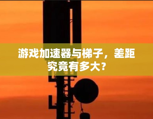 游戏加速器与梯子，差距究竟有多大？