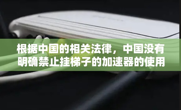 根据中国的相关法律，中国没有明确禁止挂梯子的加速器的使用。以下是对这一问题的详细分析