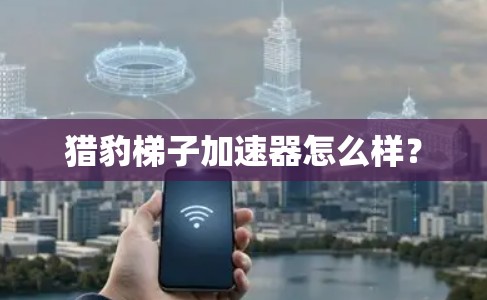 猎豹梯子加速器怎么样？