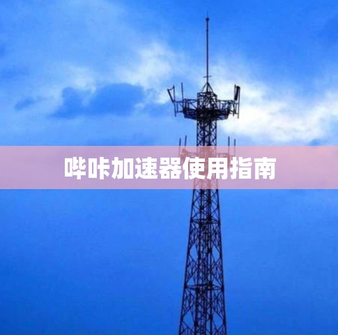 哔咔加速器使用指南
