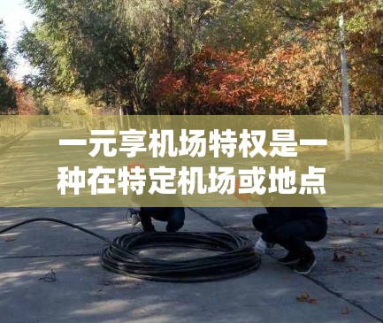 一元享机场特权是一种在特定机场或地点允许乘客乘坐特定交通工具的政策，旨在优化乘客出行体验，减少拥挤和过载。以下是对这一政策的详细分析