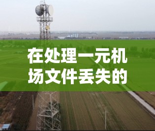 在处理一元机场文件丢失的问题时，可以按照以下步骤进行
