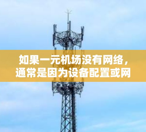 如果一元机场没有网络，通常是因为设备配置或网络连接问题。以下是几种可能的原因和解决方法