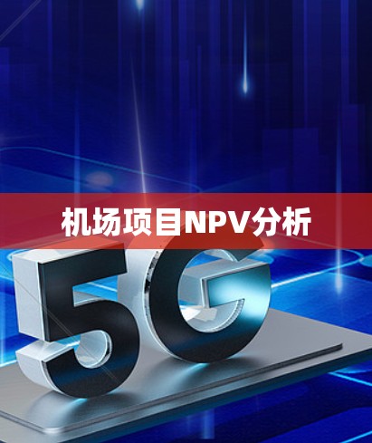 机场项目NPV分析