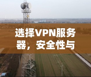 选择VPN服务器，安全性与可靠性的关键因素