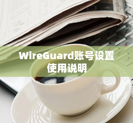WireGuard账号设置使用说明