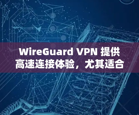 WireGuard VPN 提供高速连接体验，尤其适合需要快速连接的用户。以下是 WireGuard 在高速连接体验上的关键点