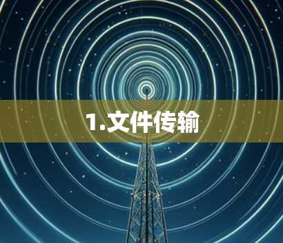 1.文件传输