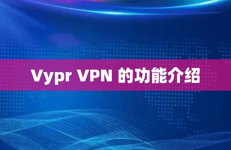 Vypr VPN 的功能介绍
