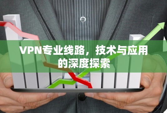 VPN专业线路，技术与应用的深度探索