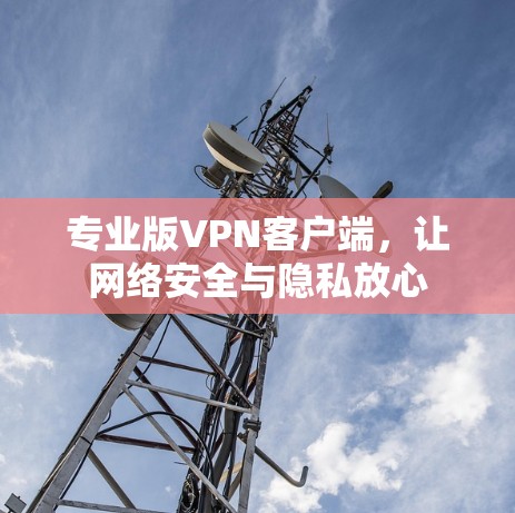 专业版VPN客户端，让网络安全与隐私放心