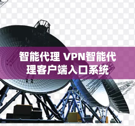 智能代理 VPN智能代理客户端入口系统