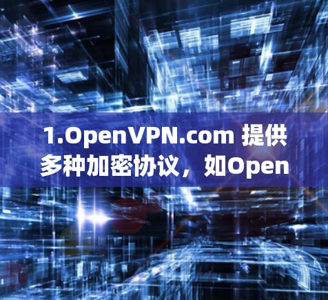 1.OpenVPN.com 提供多种加密协议，如OpenVPN、H2VP、IPsec等，适合多种网络连接
