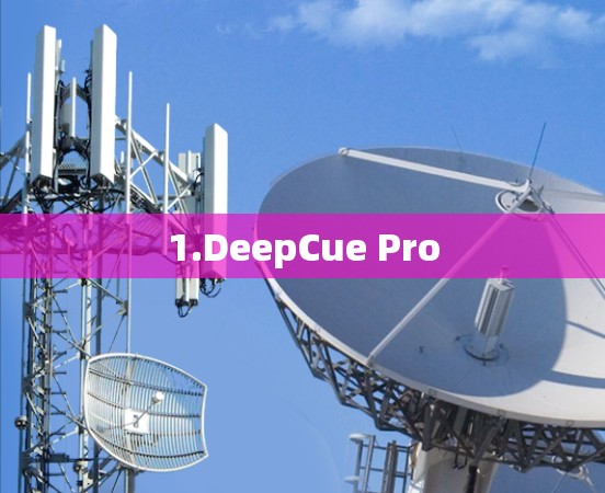 1.DeepCue Pro