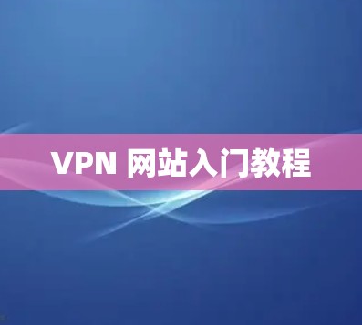 VPN 网站入门教程
