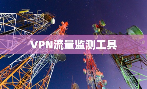VPN流量监测工具