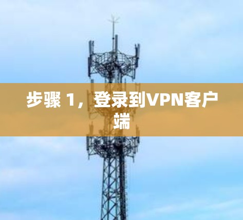 步骤 1，登录到VPN客户端
