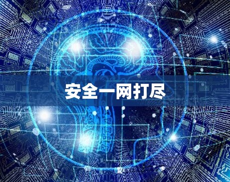 安全一网打尽