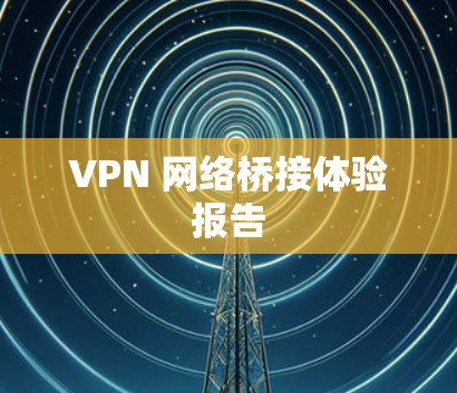 VPN 网络桥接体验报告