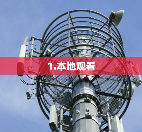 1.本地观看