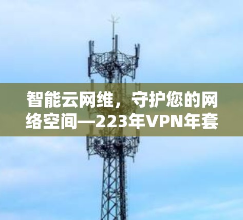 智能云网维，守护您的网络空间—223年VPN年套餐方案
