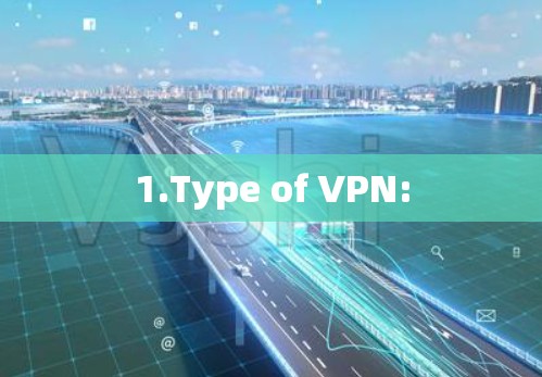 1.Type of VPN: